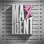 Stray Kids - MAXIDENT STANDARD EDITION 2