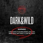 BTS - DARK&WILD 2