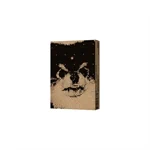 V - [Layover] Weverse Albums ver וי טאהיונג -לייאובר