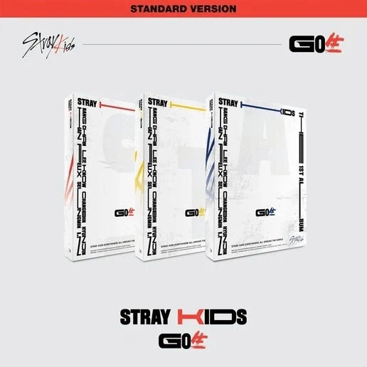 Stray Kids - GO生